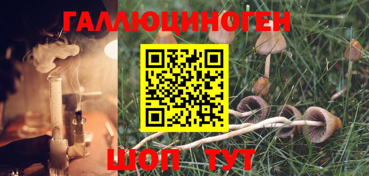 Псилоцибиновые грибы Psilocybine cubensis  Вход с VPN  Новоалтайск 